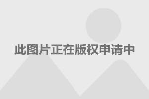 上海热线汽车